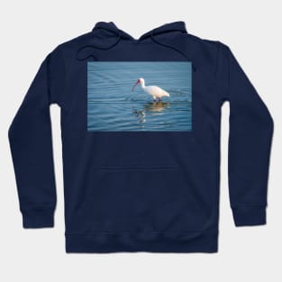 White Ibis Foraging In the Wetlands Hoodie